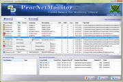 ProcNetMonitor