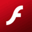 Flash Enjoy Professional