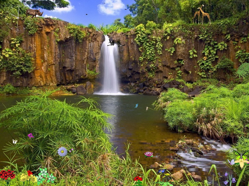 Nature Reserve Screensaver