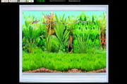 Amago Fish School Screensaver