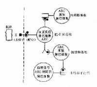 网络免疫大使