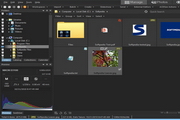 ACDSee Pro 英文版(64位)