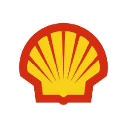 Shell Picture