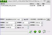 FLV视频转换专家