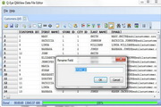 Q-Eye QVD/QVX files Editor (32 Bit)
