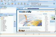 Website Extractor