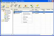 Download Accelerator Manager