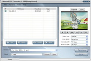 Nidesoft FLV converter