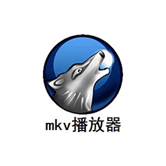 MKV播放器