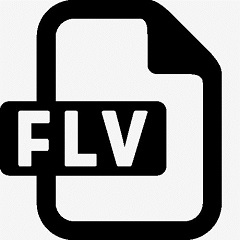 FLV视频播放器