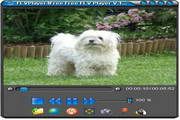 FLVPlayer4Free