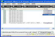 AnvSoft Web FLV Player