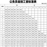 公务员级别工资滚动(晋升)个人申报表打印工具