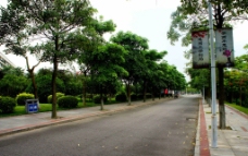 雨倩园林植物图文系统