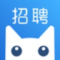 招聘猫app