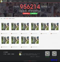HTML5-宠物社区分享网站响应式模板