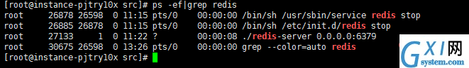 查看 redis 进程号