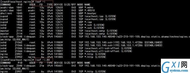 nginx-6.jpg