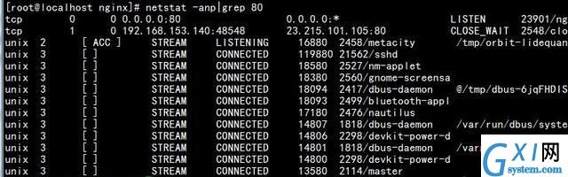 nginx-7.jpg