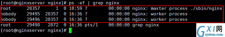 nginx-6.png