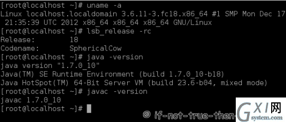 Java 7 on Fedora 18 Console Output