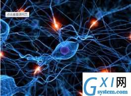 gxlsystem.com,布布扣