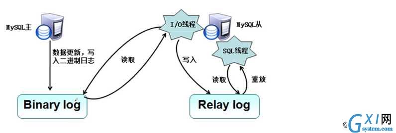 Mysql -- 主从复制（主从同步）