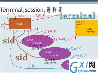 宋宝华： 一图理解终端、会话、 进程组、进程关系