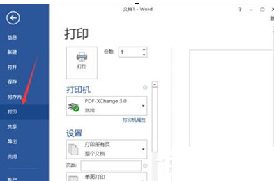 解决在Word2013中出现无法打印图片的图文教程截图