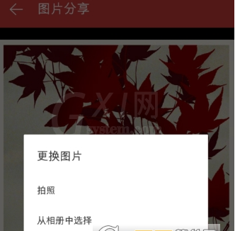 在网易云音乐中保存海报的具体步骤截图