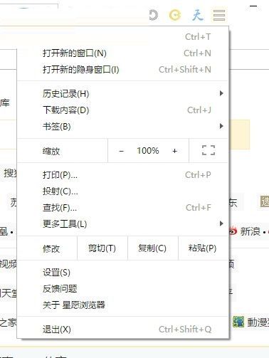 星愿浏览器设置启动页面的基础操作截图