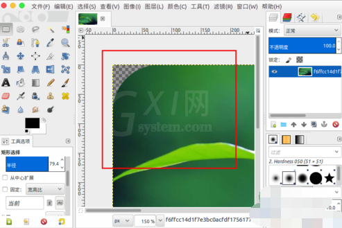 gimp把图片裁出四个圆角的图文操作截图