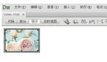 Dreamweaver编辑图片的基础操作截图