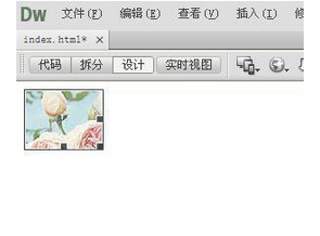 Dreamweaver编辑图片的基础操作截图
