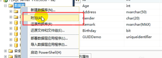 在sql中分类备份的详细步骤讲解截图