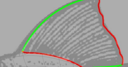 maya制作鱼模型的操作流程截图