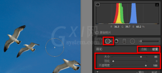 lightroom污点去除功能使用过程介绍截图