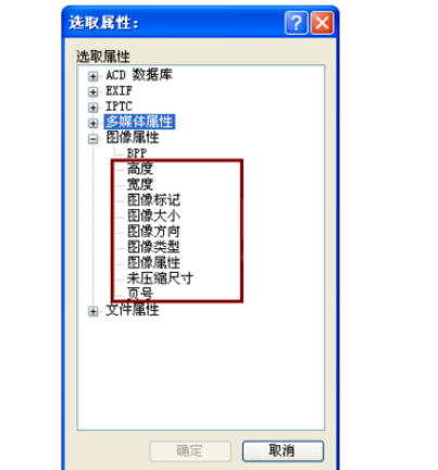 ACDSee设置排序方式的基础操作截图