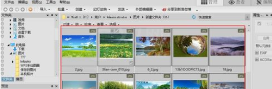 ACDSee批量转换图片格式的图文操作截图