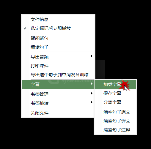 Aboboo自动加载字幕的图文操作截图