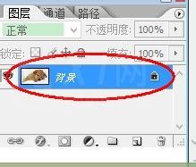 photoshop进行图像旋转的详细操作截图