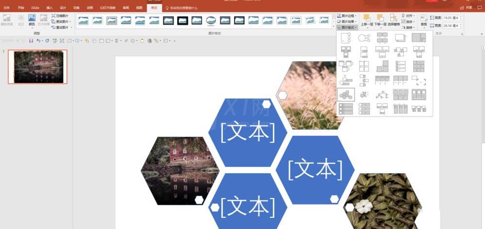 ppt对图片排版的操作流程截图