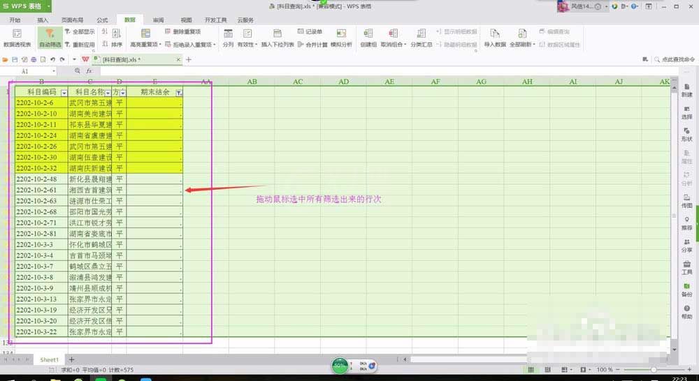 wps表格批量去除无用行的简单操作截图