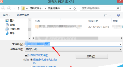 office2007把将ppt转成pdf格式的操作流程截图