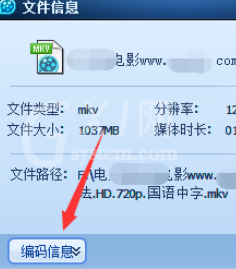 qq播放器查看文件信息的简单操作截图