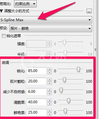 通过PhotoZoom放大图片不失真的操作过程截图