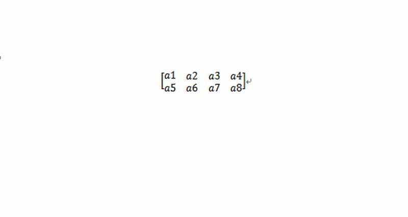 word输入2*4矩阵的详细操作截图