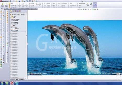 solidworks做出海豚的操作流程截图