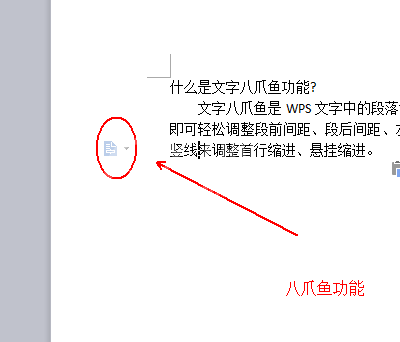 wps使用八爪鱼功能的详细操作截图