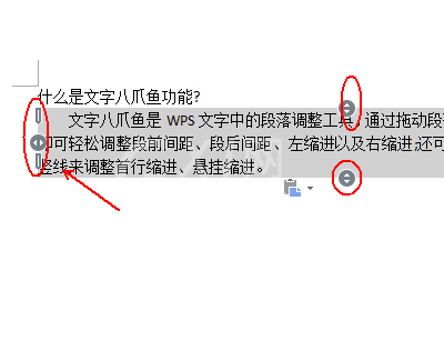 wps使用八爪鱼功能的详细操作截图